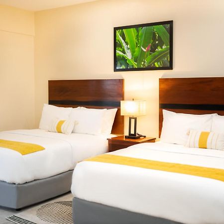 The West House Boutique Hotel サン・イグナシオ エクステリア 写真